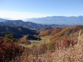 紅葉が良い感じに