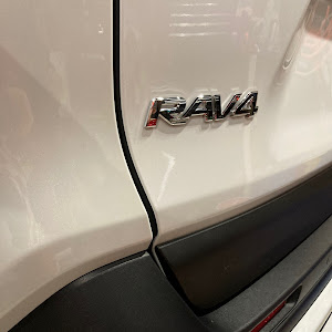 RAV4 MXAA54