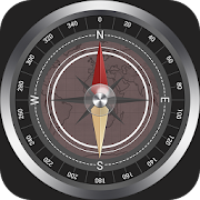 3D Compass  Icon