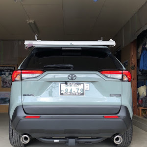 RAV4 MXAA54