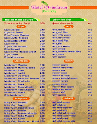 Vridavan Pure Veg menu 6