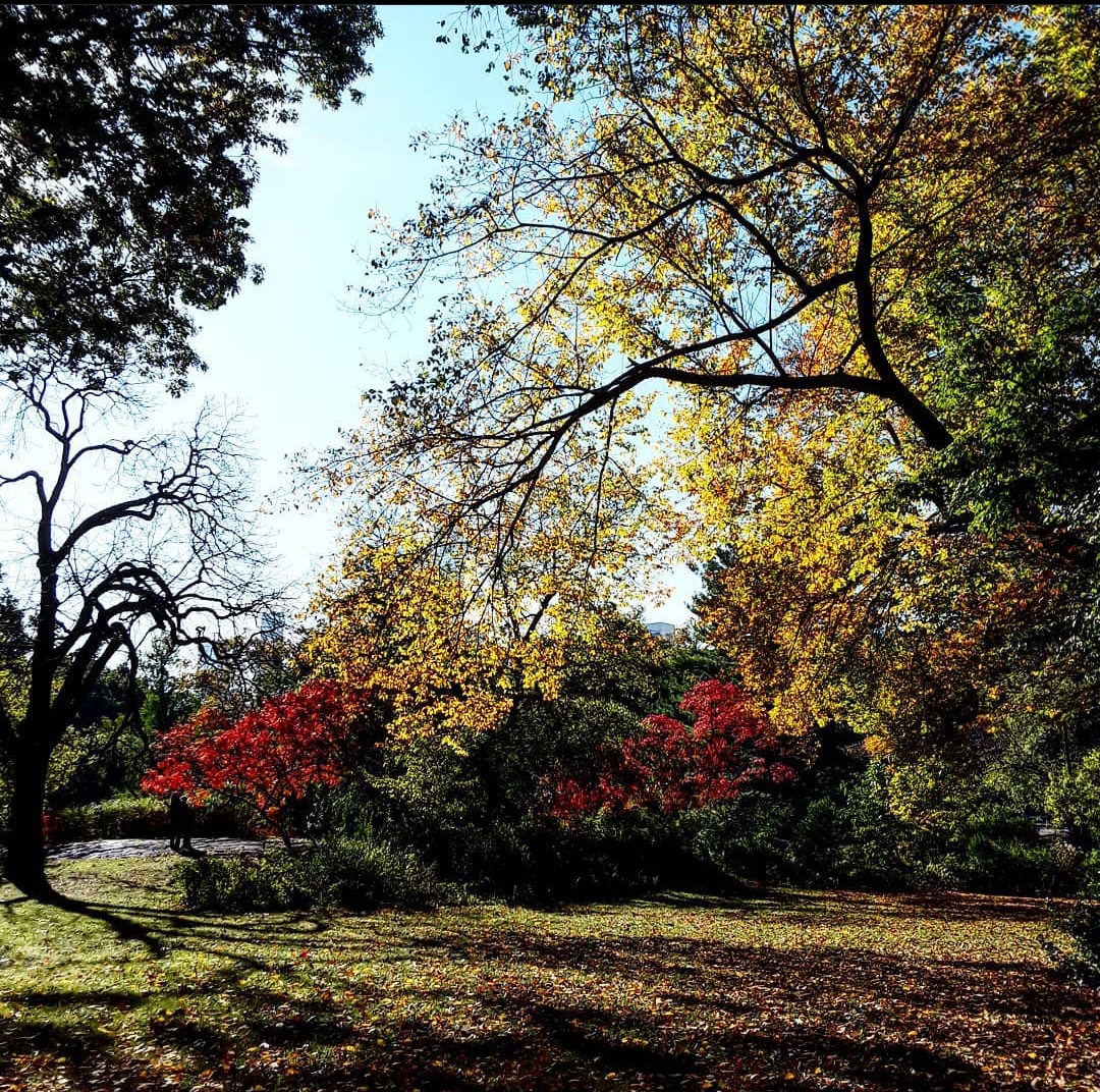 Paesaggio d'autunno di fede99