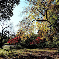 Paesaggio d'autunno di 