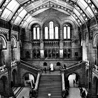 national history museum  di 