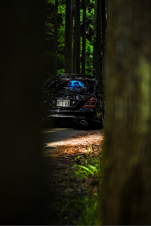 SクラスセダンのWALD・AMG・自然×愛車に関するカスタム事例の投稿画像3枚目