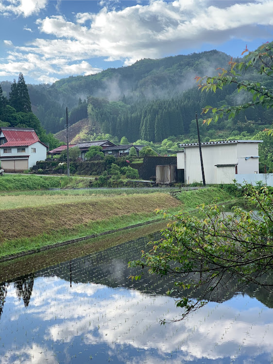 の投稿画像3枚目