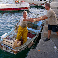 Consegna del pesce di 