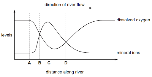 Water pollution - Causes and Effects