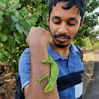 Nikhilguhagarkar