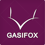 Cover Image of ดาวน์โหลด 가시여우 - gasifox 1.1.9 APK