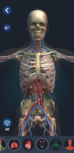 Screenshot Human Anatomy 3D