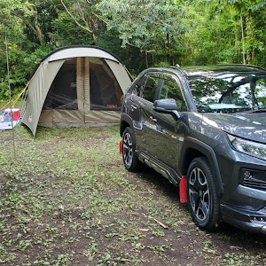 RAV4 MXAA54