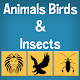Animal and Birds for Kids Download on Windows