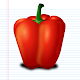 Download Kids Learning Vegetable Names For PC Windows and Mac 1.0