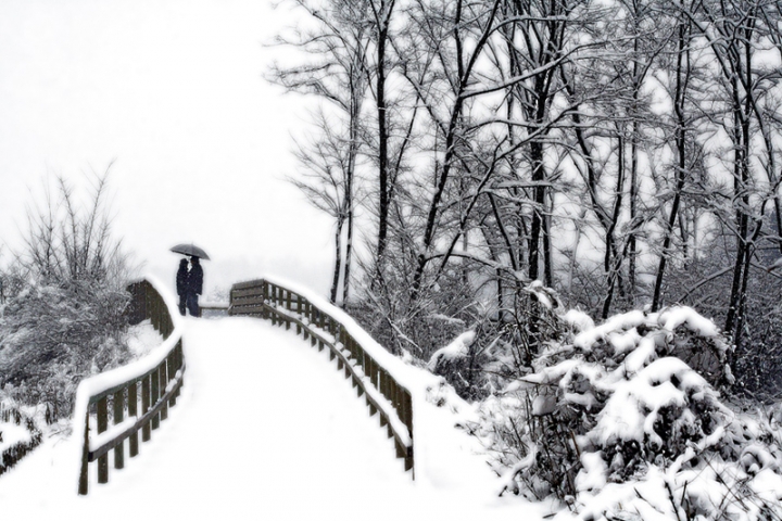 Amore sotto la neve di spelafili