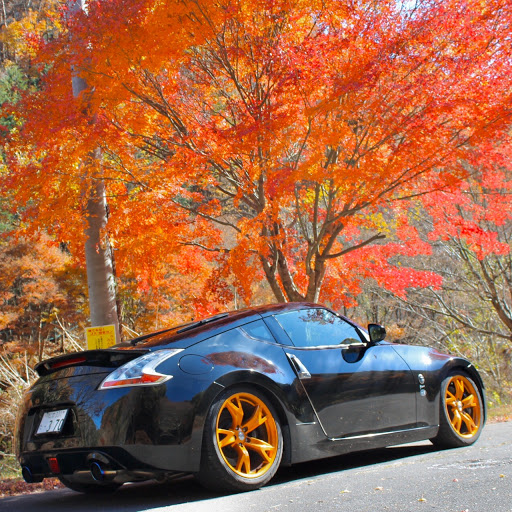 ふうた 370Z ʕ•ᴥ•ʔのプロフィール画像