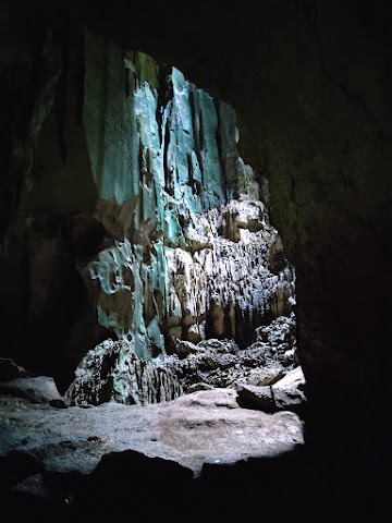 Niah Caves