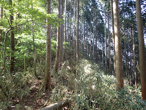 ここから登りに