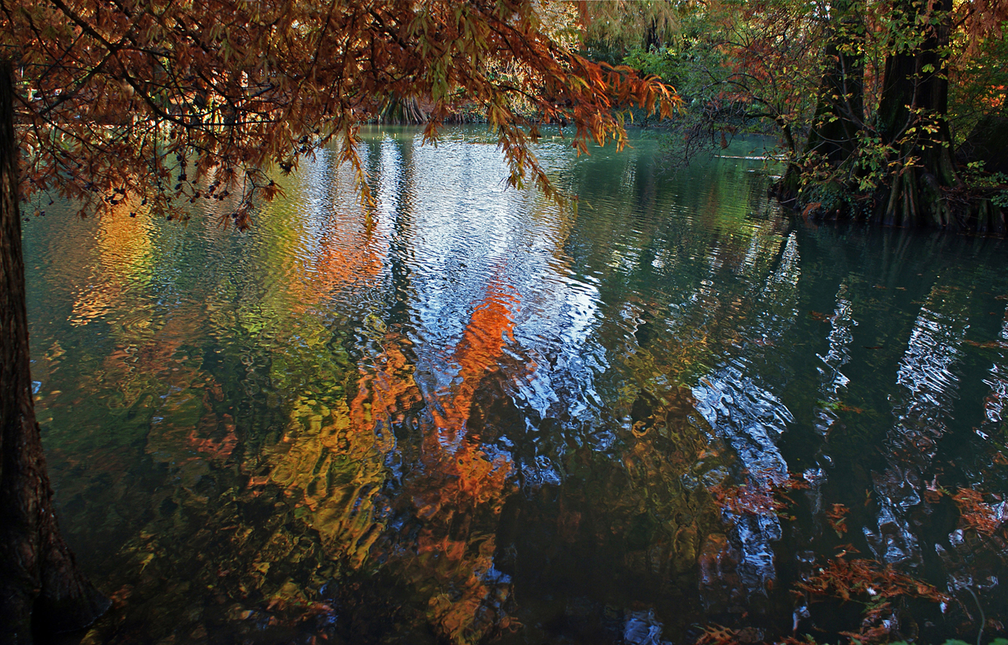 Colori d'autunno di mariarosa-bc