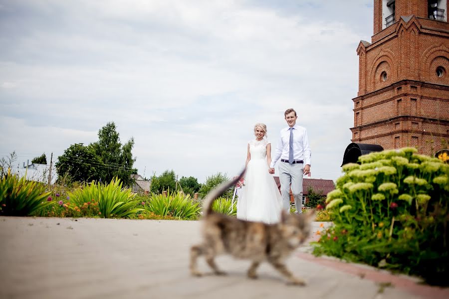 Photographe de mariage Ekaterina Tolstyakova (katrin694). Photo du 12 août 2017