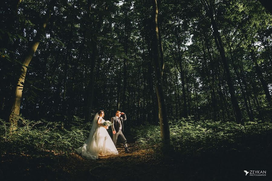 Fotografo di matrimoni Andrey Zeykan (zeykan). Foto del 24 luglio 2017