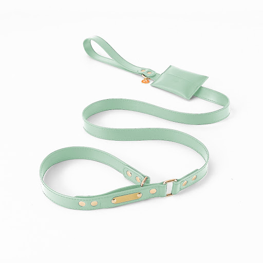 Title 5, One-piece Leather Explosion-proof Leash For Pet...