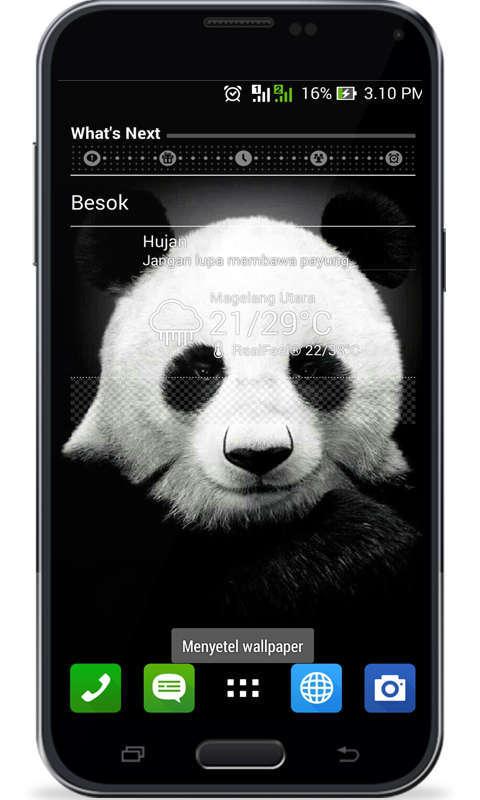 Daftar Wallpaper Tema Panda  Download Koleksi Wallpaper  