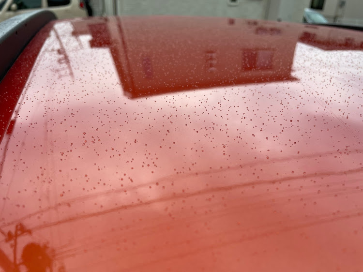 パンダの和歌山・夕方から洗車・雨のバカに関するカスタム事例の投稿画像2枚目