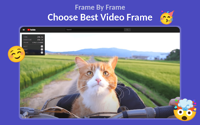 Frame By Frame chrome extension