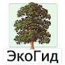 EcoGuide: Trees in Summer icon