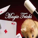 Cover Image of Скачать Learn Magic Tricks 25.0 APK