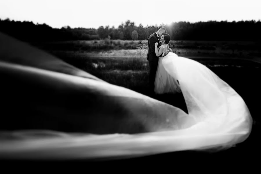 Wedding photographer Magdalena Korzeń (korze). Photo of 20 September 2016