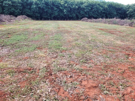 Chácaras à venda Zona Rural