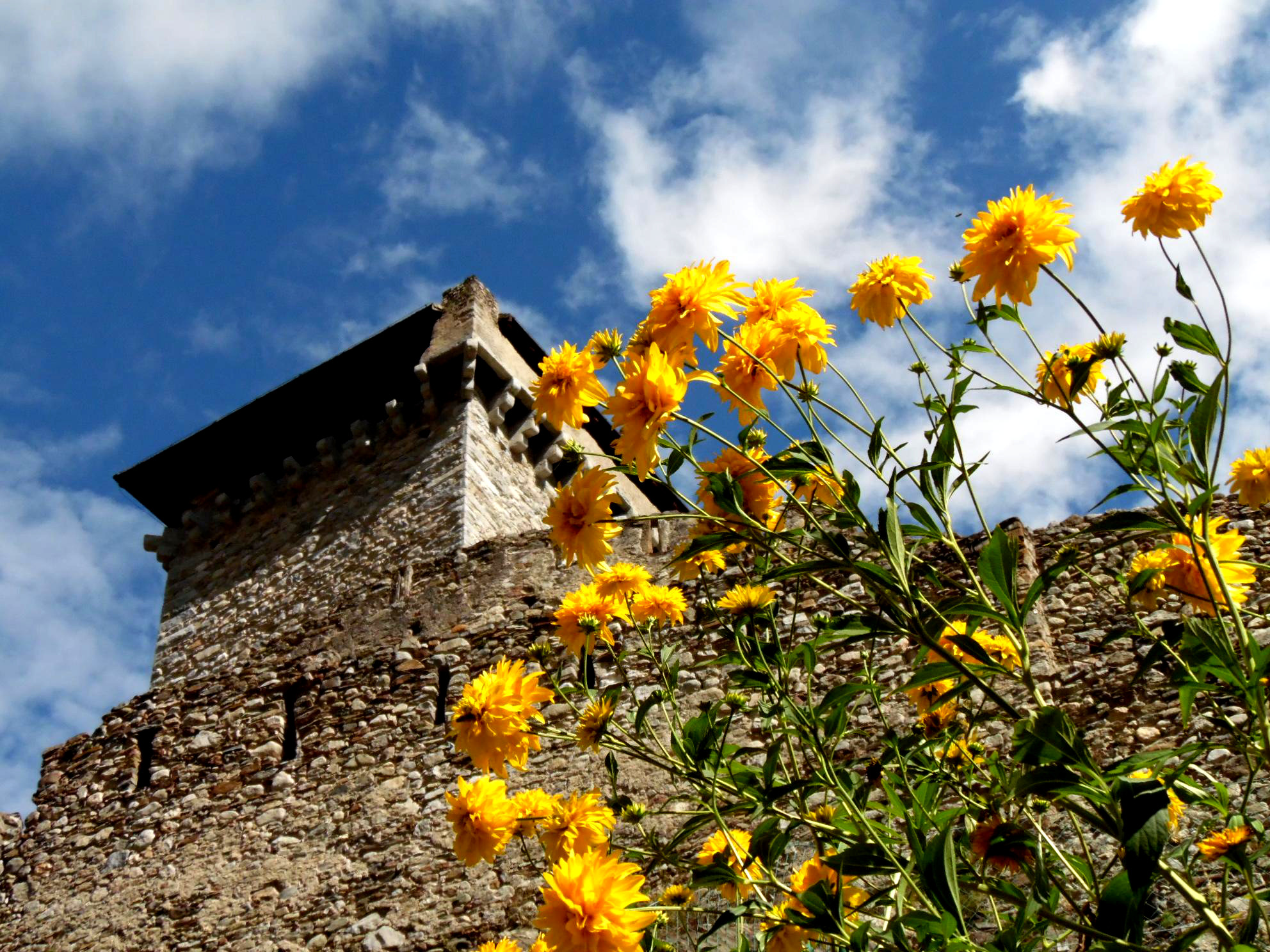 Castello di Ossana di supergigi