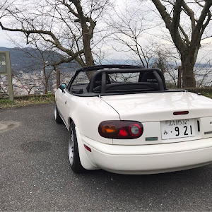 ロードスター NA8C