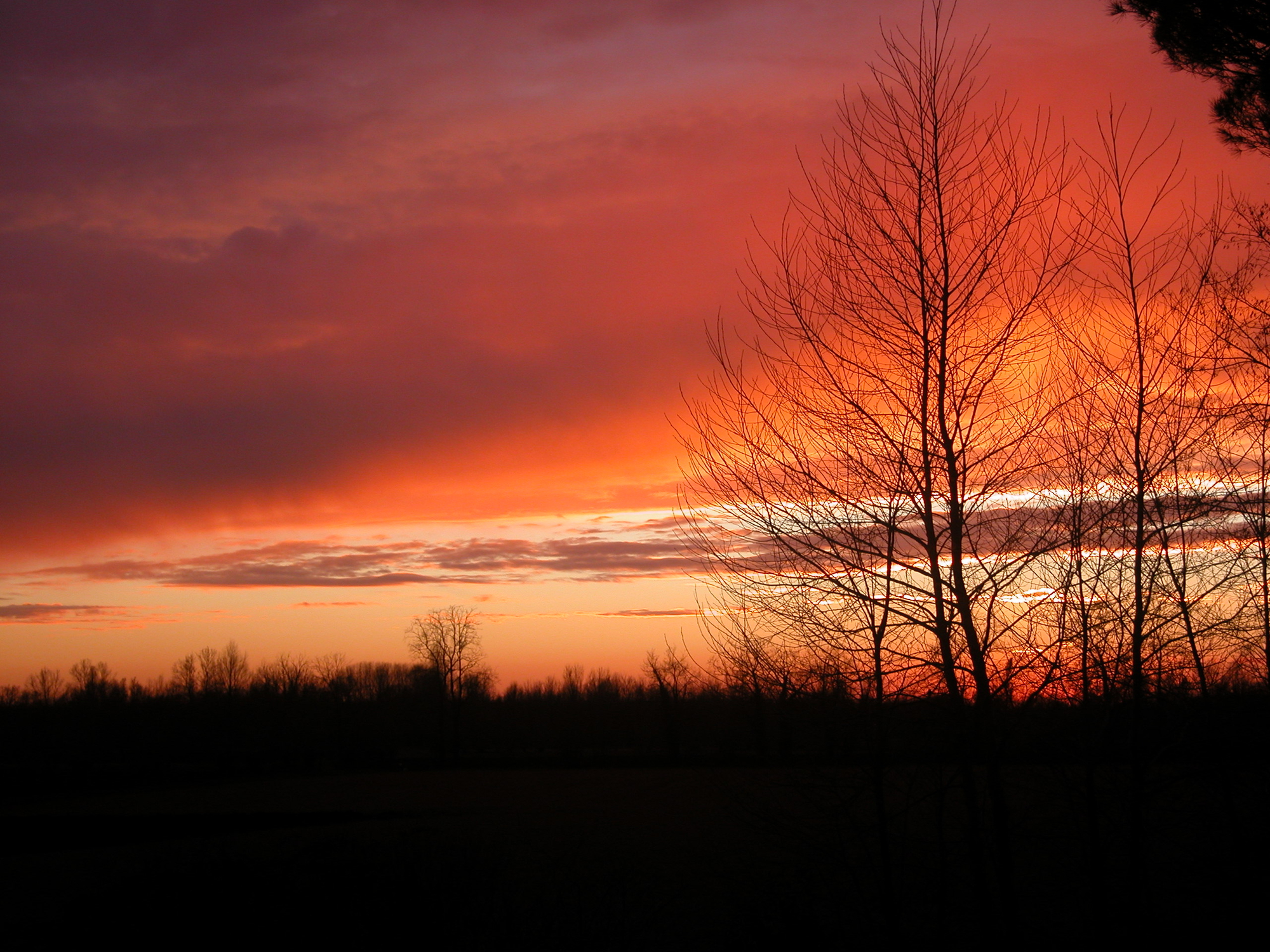 tramonto in una sera d'estate di sha98