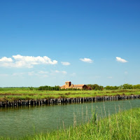 Valli di Comacchio di 