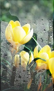 Lastest Early Spring APK