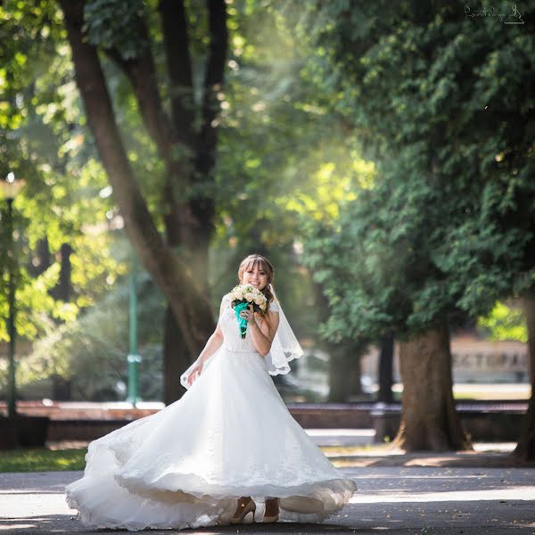 Photographe de mariage Andrey Levickiy (lion78). Photo du 14 novembre 2015