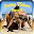 Funny Videos Download on Windows