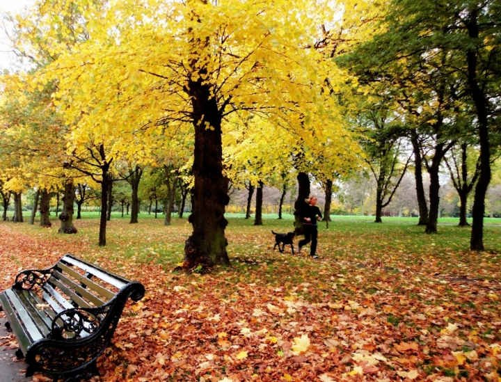 Autunno a St. James Park di Itaca