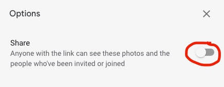 google photos do not show on wordpress 