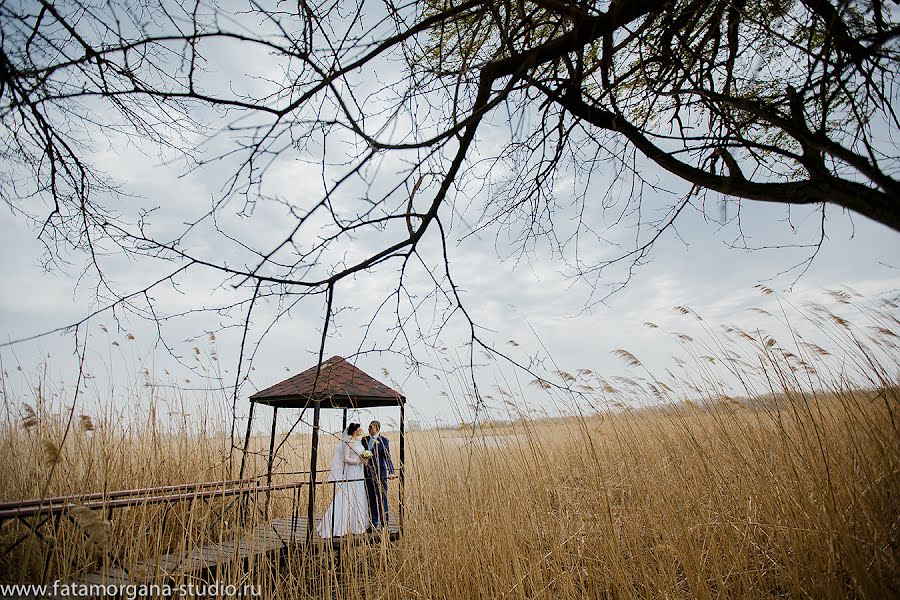 Fotógrafo de casamento Mariya Borodina (maryb). Foto de 21 de abril 2015