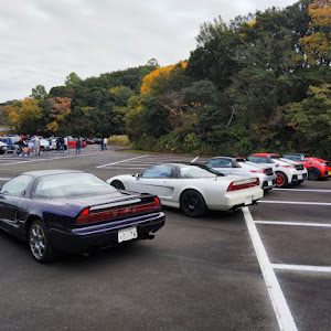 NSX NA1