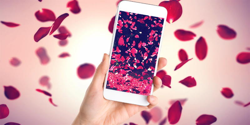 3D Petal Live Wallpaper Screen 1