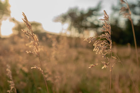 Fotografo di matrimoni Elena Kirichenko (kirelena). Foto del 28 luglio 2021