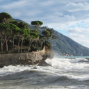 Sea waves crash on the shore