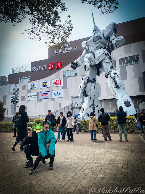 ステップワゴンのスーパープラチナグレーメタリック・20インチ・ステップワゴンスパーダ・レイズホイール・ダイバーシティ東京に関するカスタム事例の投稿画像2枚目