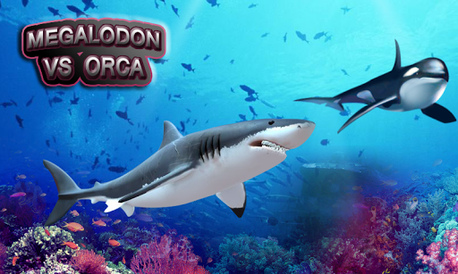 Orca vs Megalodon 3D