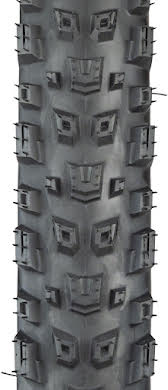 Teravail Warwick Tire - 29", Durable, Grip Compound alternate image 0